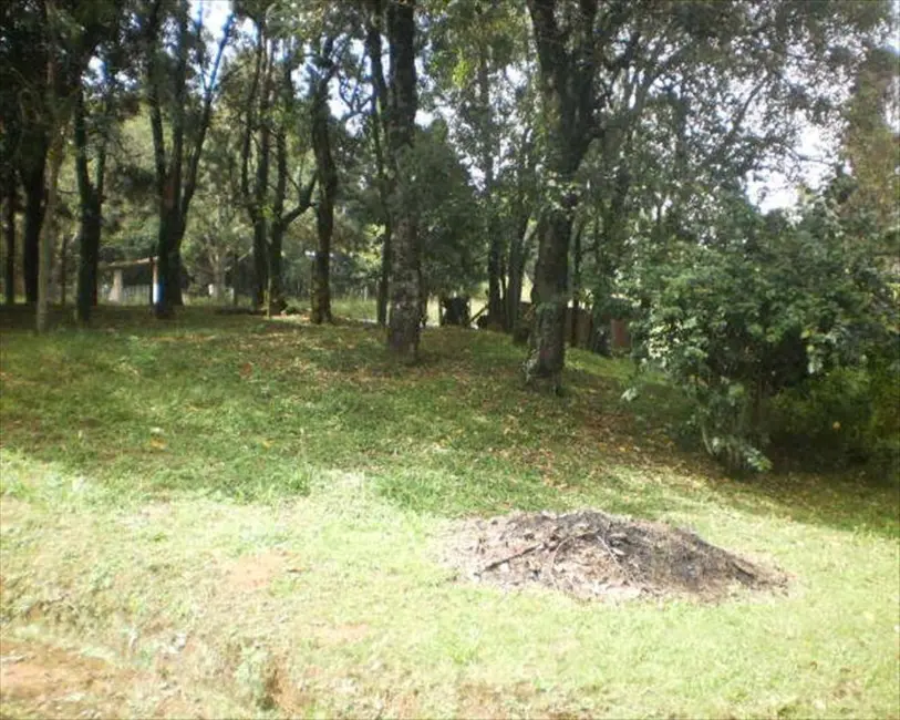 Sítio / Rancho com 1 quarto à venda em Pilar Do Sul - SP - imagem 6 Foto 6 de Sítio / Rancho com 1 quarto à venda em Pilar Do Sul - SP