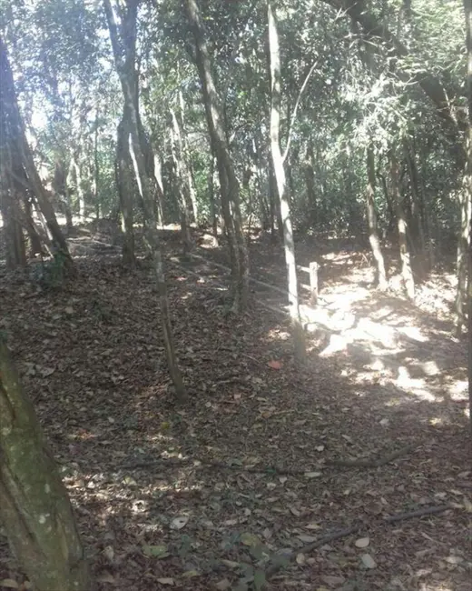 Foto 4 de Sítio / Rancho com 1 quarto à venda, 24980m2 em Aracoiaba Da Serra - SP