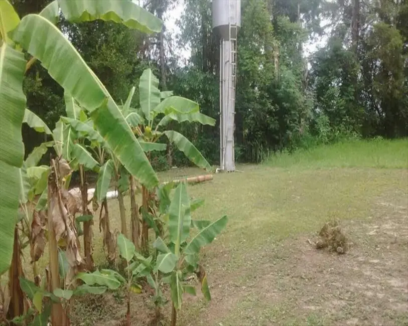 Foto 2 de Sítio / Rancho com 2 quartos à venda, 400m2 em Capela Do Alto - SP