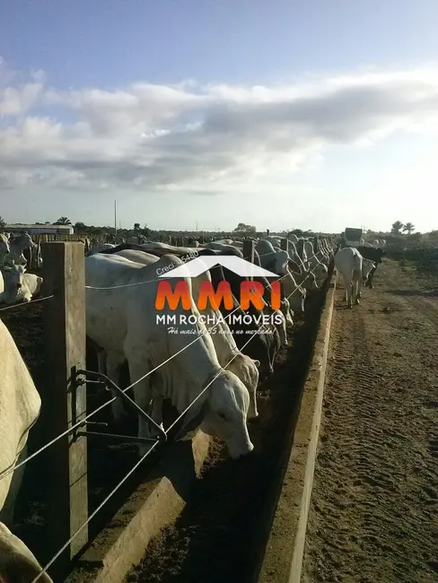 Foto 2 de Fazenda / Haras à venda, 74000m2 em Boa Vista de São Caetano, Salvador - BA