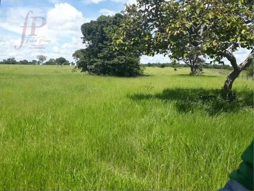Foto 1 de Fazenda / Haras à venda, 7598800m2 em Centro, Navirai - MS