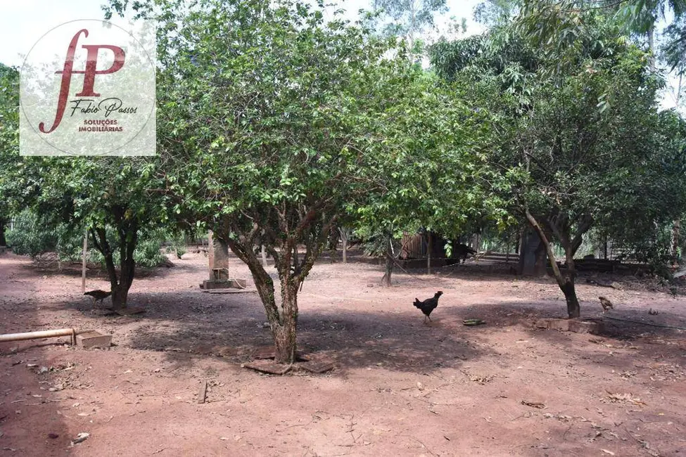 Chácara à venda, 5000m2 em Mundo Novo - MS - imagem 6 Foto 6 de Chácara à venda, 5000m2 em Mundo Novo - MS