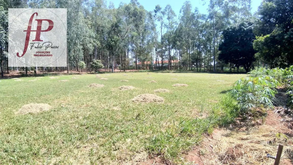 Chácara à venda, 5000m2 em Mundo Novo - MS - imagem 3 Foto 3 de Chácara à venda, 5000m2 em Mundo Novo - MS