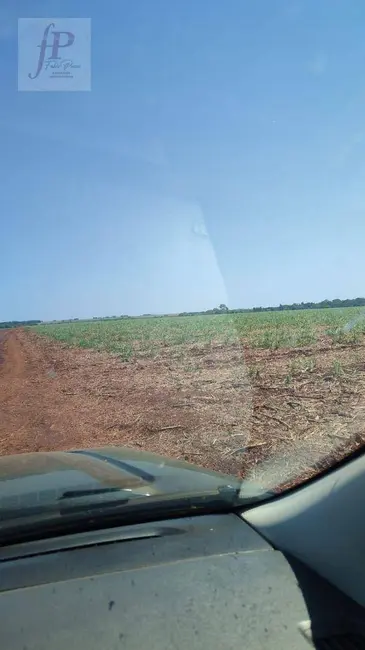 Foto 5 de Fazenda / Haras à venda, 2060000m2 em Jardim Mônaco, Dourados - MS