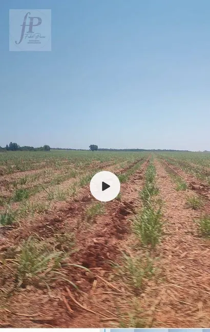 Foto 4 de Fazenda / Haras à venda, 2060000m2 em Jardim Mônaco, Dourados - MS