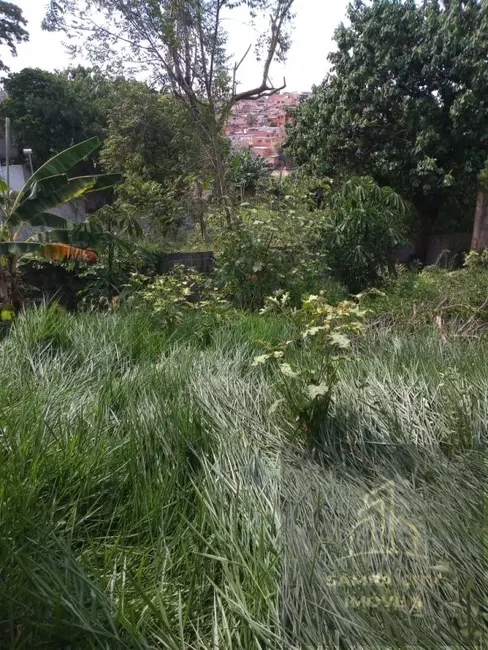 Foto 7 de Casa com 2 quartos à venda, 600m2 em Jardim Shangrilá (Zona Sul), São Paulo - SP