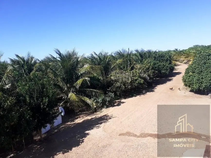 Foto 9 de Fazenda / Haras com 5 quartos à venda, 164000m2 em Santa Maria Da Boa Vista - PE