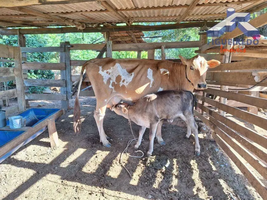 Foto 1 de Sítio / Rancho com 3 quartos à venda, 34000m2 em Cesario Lange - SP