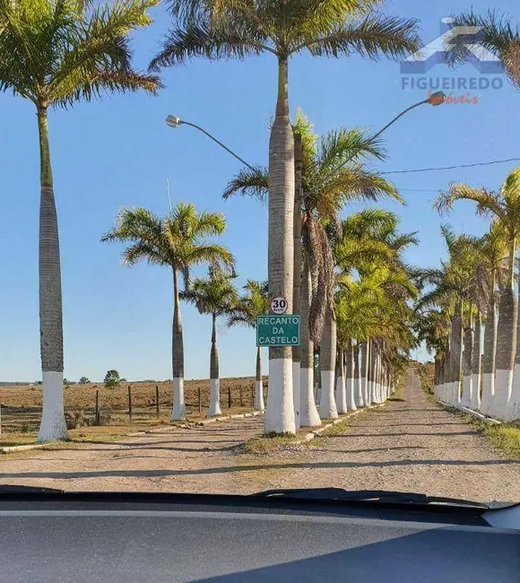 Foto 9 de Chácara com 3 quartos à venda, 4800m2 em Quadra - SP