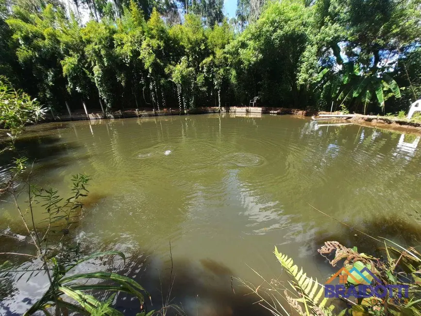 Foto 3 de Chácara com 3 quartos à venda, 2800m2 em Limeira - SP