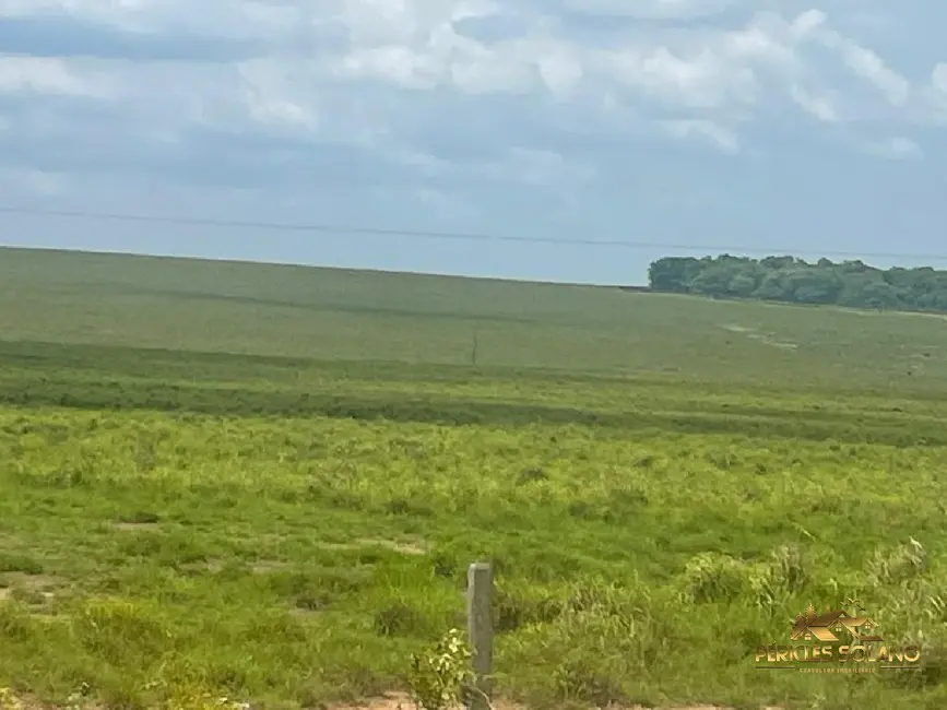 Foto 3 de Fazenda / Haras com 12 quartos à venda, 12000m2 em Centro, Tocantins - MG