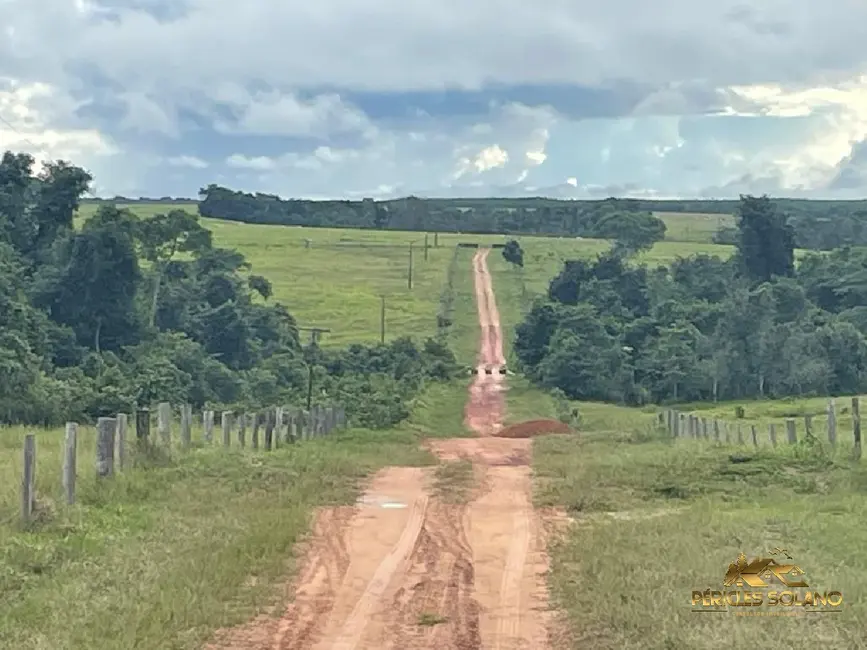 Foto 9 de Fazenda / Haras com 12 quartos à venda, 12000m2 em Centro, Tocantins - MG