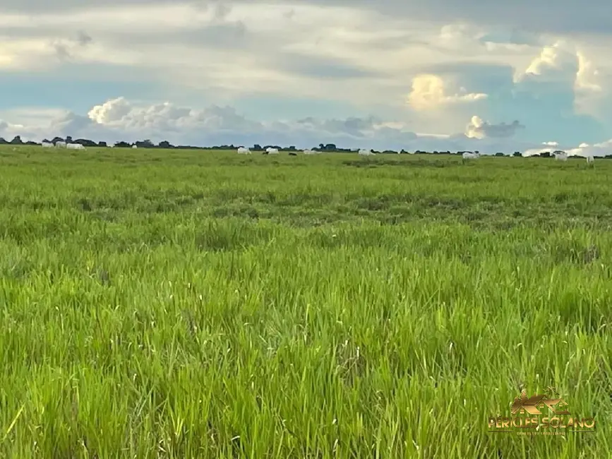 Foto 8 de Fazenda / Haras com 12 quartos à venda, 12000m2 em Centro, Tocantins - MG