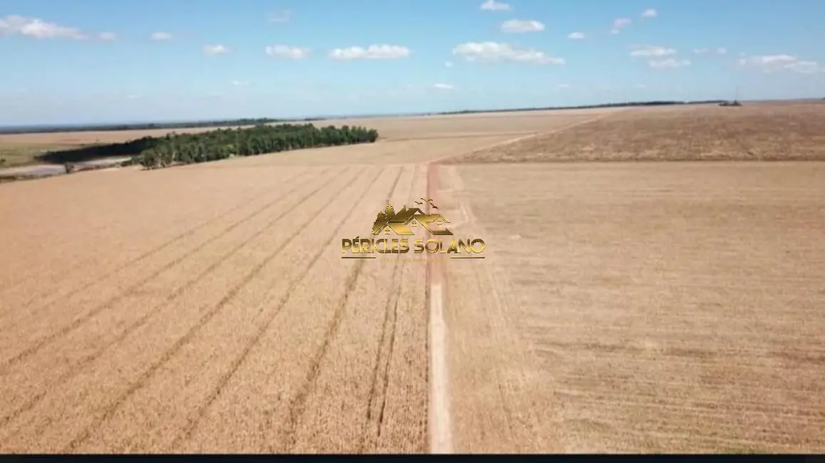 Foto 1 de Fazenda / Haras com 3 quartos à venda, 39000m2 em Confresa - MT