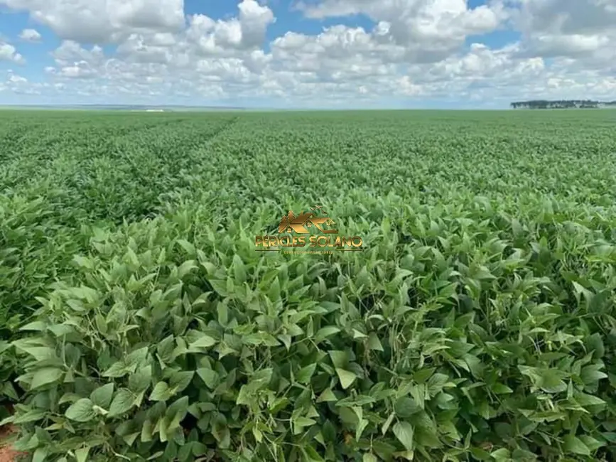 Fazenda / Haras com 3 quartos à venda, 16943m2 em Primavera Do Leste - MT - imagem 4 Foto 4 de Fazenda / Haras com 3 quartos à venda, 16943m2 em Primavera Do Leste - MT