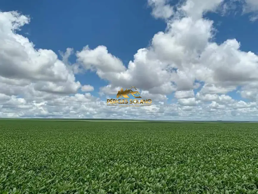 Fazenda / Haras com 3 quartos à venda, 16943m2 em Primavera Do Leste - MT - imagem 3 Foto 3 de Fazenda / Haras com 3 quartos à venda, 16943m2 em Primavera Do Leste - MT