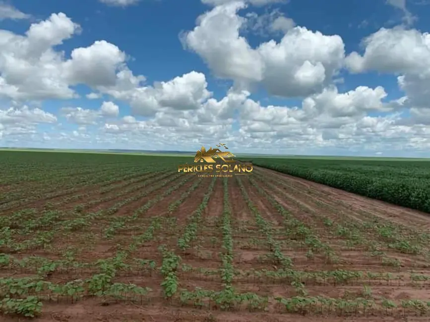 Fazenda / Haras com 3 quartos à venda, 16943m2 em Primavera Do Leste - MT - imagem 6 Foto 6 de Fazenda / Haras com 3 quartos à venda, 16943m2 em Primavera Do Leste - MT