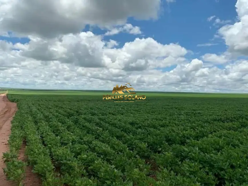 Fazenda / Haras com 3 quartos à venda, 16943m2 em Primavera Do Leste - MT - imagem 7 Foto 7 de Fazenda / Haras com 3 quartos à venda, 16943m2 em Primavera Do Leste - MT