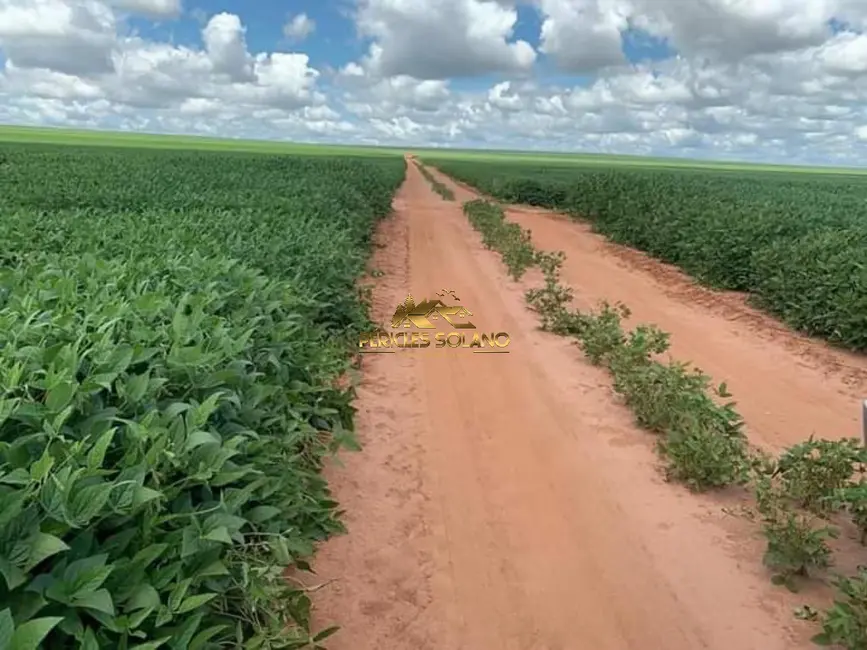 Fazenda / Haras com 3 quartos à venda, 16943m2 em Primavera Do Leste - MT - imagem 5 Foto 5 de Fazenda / Haras com 3 quartos à venda, 16943m2 em Primavera Do Leste - MT