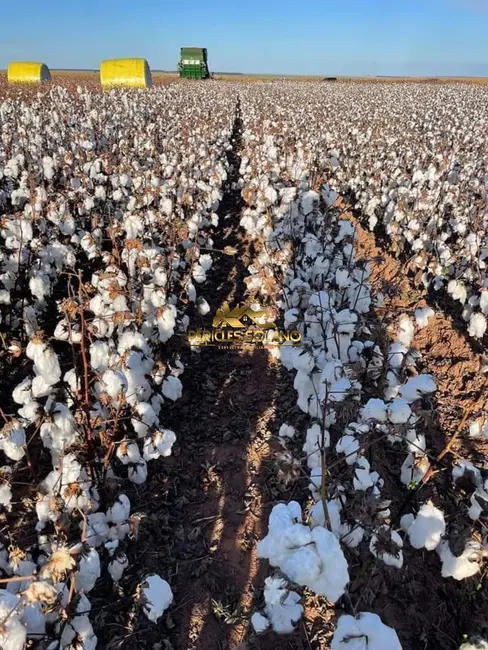 Fazenda / Haras com 3 quartos à venda, 16943m2 em Primavera Do Leste - MT - imagem 8 Foto 8 de Fazenda / Haras com 3 quartos à venda, 16943m2 em Primavera Do Leste - MT