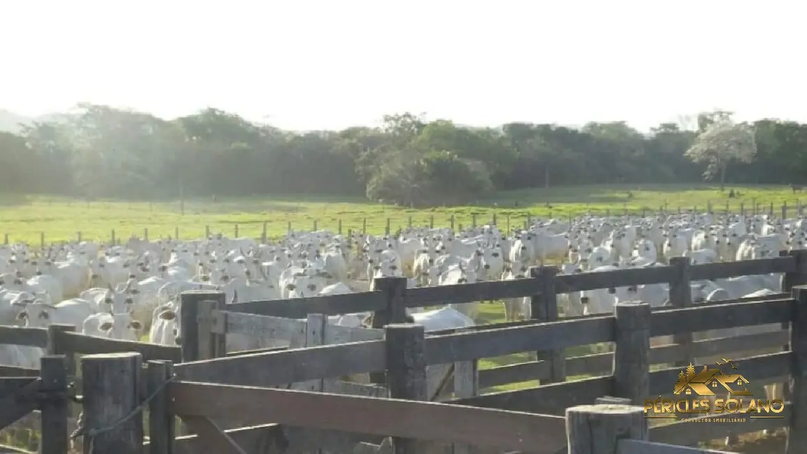 Fazenda / Haras com 3 quartos à venda, 87851m2 em Centro, Miranda - MS - imagem 5 Foto 5 de Fazenda / Haras com 3 quartos à venda, 87851m2 em Centro, Miranda - MS