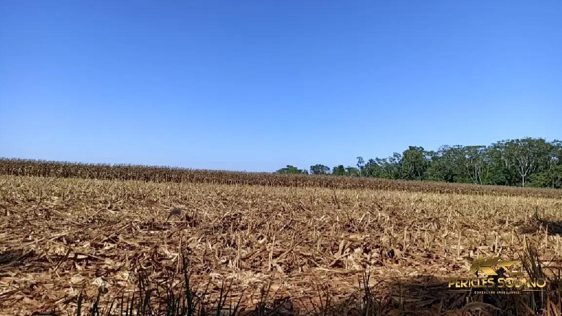 Foto 8 de Fazenda / Haras com 3 quartos à venda, 1800m2 em Centro, Itauba - MT