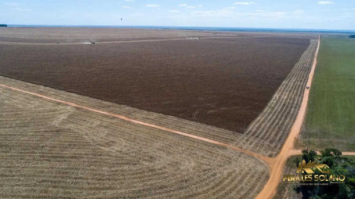 Foto 5 de Fazenda / Haras com 3 quartos à venda, 5000m2 em Centro, Campo Novo Do Parecis - MT