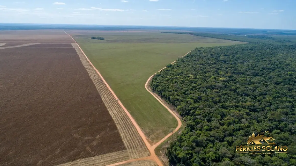 Foto 1 de Fazenda / Haras com 3 quartos à venda, 5000m2 em Centro, Campo Novo Do Parecis - MT