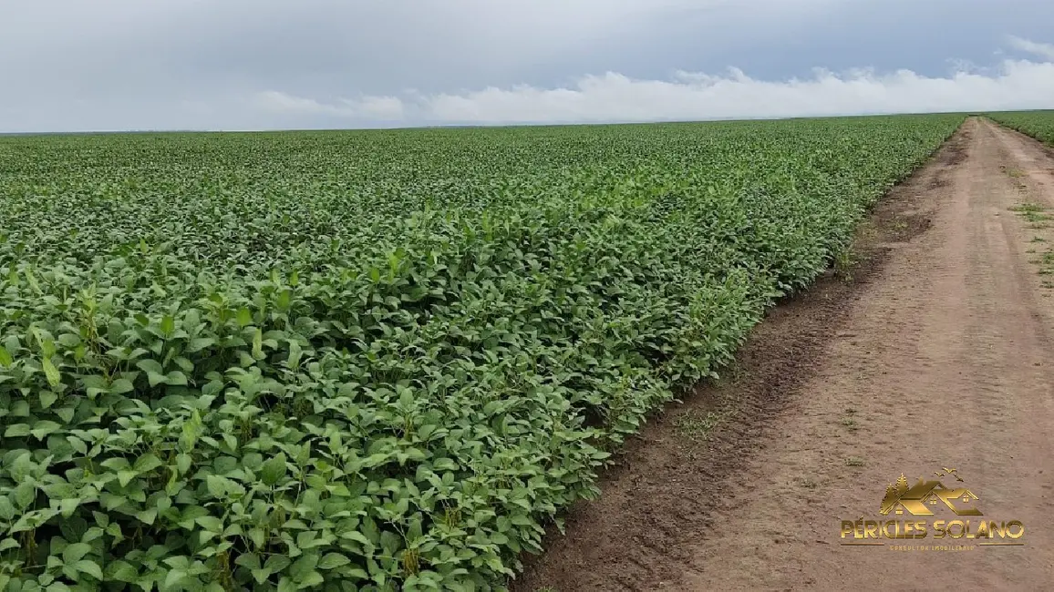 Foto 8 de Fazenda / Haras com 3 quartos à venda, 23000m2 em Centro, Sao Felix De Balsas - MA