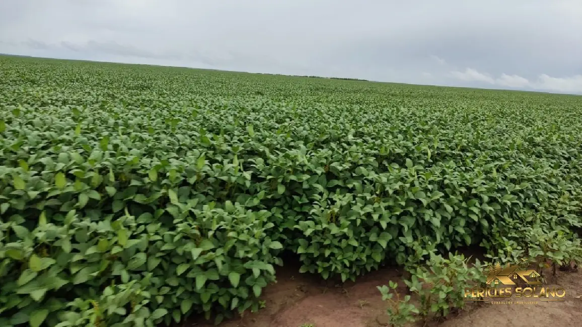 Foto 9 de Fazenda / Haras com 3 quartos à venda, 23000m2 em Centro, Sao Felix De Balsas - MA