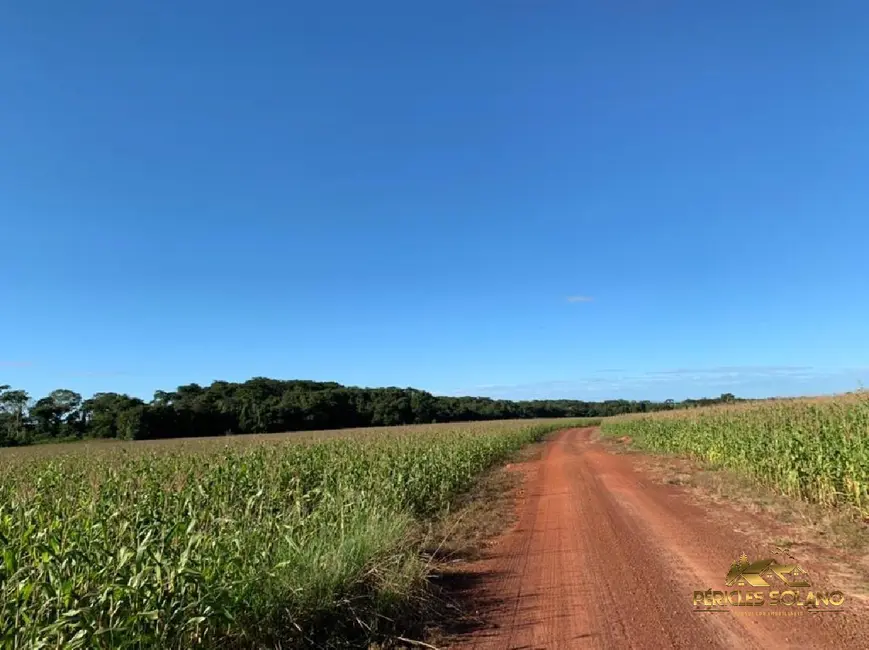 Fazenda / Haras com 3 quartos à venda, 3700m2 em Centro, Nobres - MT - imagem 3 Foto 3 de Fazenda / Haras com 3 quartos à venda, 3700m2 em Centro, Nobres - MT