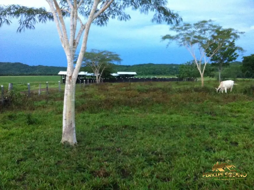 Fazenda / Haras com 3 quartos à venda, 3700m2 em Centro, Nobres - MT - imagem 8 Foto 8 de Fazenda / Haras com 3 quartos à venda, 3700m2 em Centro, Nobres - MT