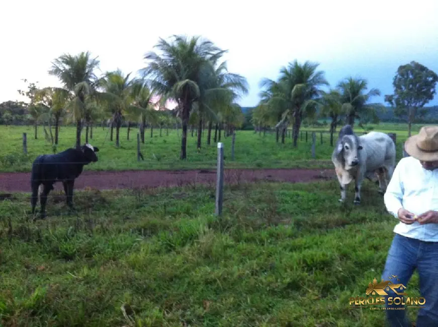 Fazenda / Haras com 3 quartos à venda, 3700m2 em Centro, Nobres - MT - imagem 7 Foto 7 de Fazenda / Haras com 3 quartos à venda, 3700m2 em Centro, Nobres - MT