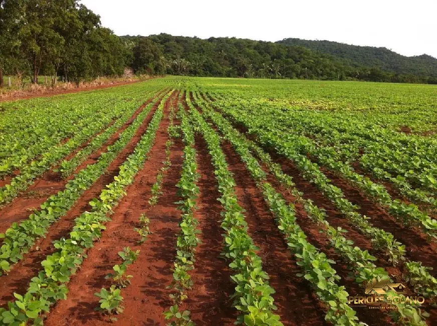 Fazenda / Haras com 3 quartos à venda, 3700m2 em Centro, Nobres - MT - imagem 1 Foto 1 de Fazenda / Haras com 3 quartos à venda, 3700m2 em Centro, Nobres - MT