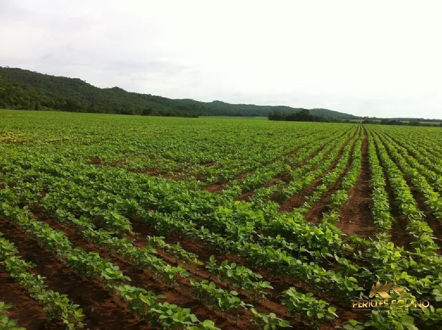 Fazenda / Haras com 3 quartos à venda, 3700m2 em Centro, Nobres - MT - imagem 2 Foto 2 de Fazenda / Haras com 3 quartos à venda, 3700m2 em Centro, Nobres - MT