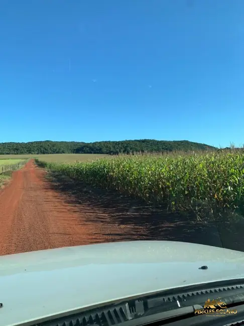 Fazenda / Haras com 3 quartos à venda, 3700m2 em Centro, Nobres - MT - imagem 4 Foto 4 de Fazenda / Haras com 3 quartos à venda, 3700m2 em Centro, Nobres - MT