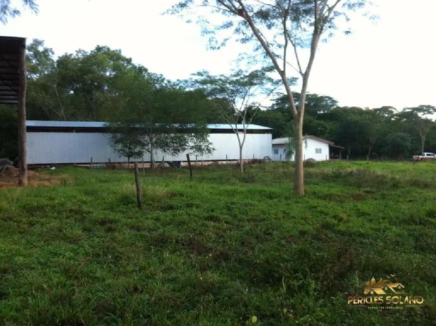 Fazenda / Haras com 3 quartos à venda, 3700m2 em Centro, Nobres - MT - imagem 6 Foto 6 de Fazenda / Haras com 3 quartos à venda, 3700m2 em Centro, Nobres - MT