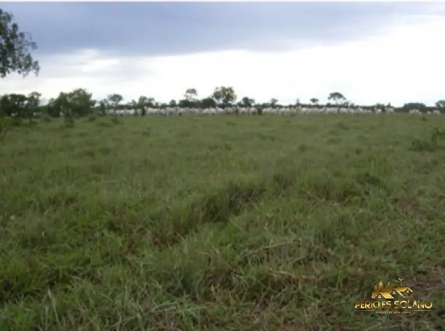 Foto 5 de Fazenda / Haras com 3 quartos à venda, 83400m2 em Centro, Sao Felix Do Araguaia - MT