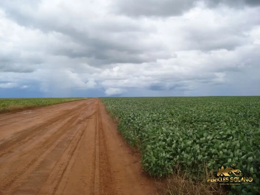 Fazenda / Haras com 3 quartos à venda, 12455m2 em Centro, Primavera Do Leste - MT - imagem 6 Foto 6 de Fazenda / Haras com 3 quartos à venda, 12455m2 em Centro, Primavera Do Leste - MT