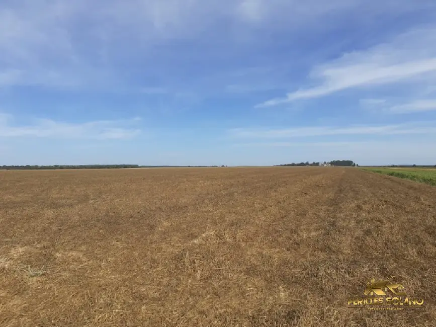 Fazenda / Haras com 3 quartos à venda, 12455m2 em Centro, Primavera Do Leste - MT - imagem 7 Foto 7 de Fazenda / Haras com 3 quartos à venda, 12455m2 em Centro, Primavera Do Leste - MT