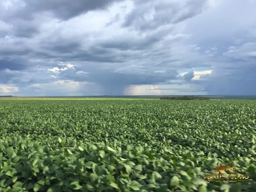 Fazenda / Haras com 3 quartos à venda, 12455m2 em Centro, Primavera Do Leste - MT - imagem 8 Foto 8 de Fazenda / Haras com 3 quartos à venda, 12455m2 em Centro, Primavera Do Leste - MT