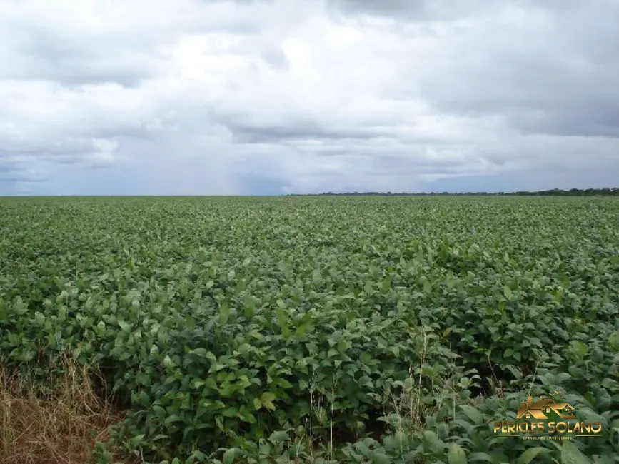Fazenda / Haras com 3 quartos à venda, 12455m2 em Centro, Primavera Do Leste - MT - imagem 4 Foto 4 de Fazenda / Haras com 3 quartos à venda, 12455m2 em Centro, Primavera Do Leste - MT