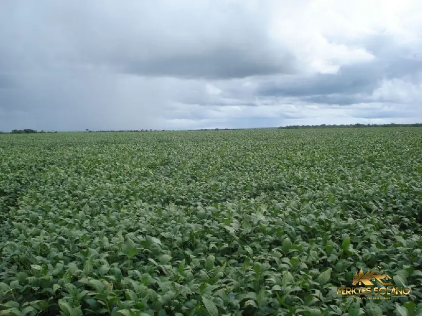 Fazenda / Haras com 3 quartos à venda, 12455m2 em Centro, Primavera Do Leste - MT - imagem 9 Foto 9 de Fazenda / Haras com 3 quartos à venda, 12455m2 em Centro, Primavera Do Leste - MT