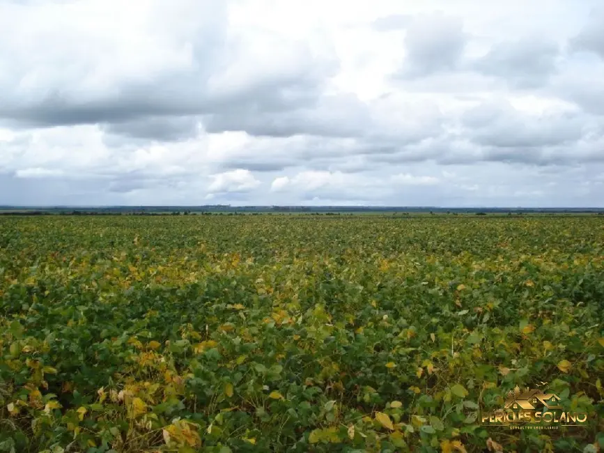 Fazenda / Haras com 3 quartos à venda, 12455m2 em Centro, Primavera Do Leste - MT - imagem 5 Foto 5 de Fazenda / Haras com 3 quartos à venda, 12455m2 em Centro, Primavera Do Leste - MT