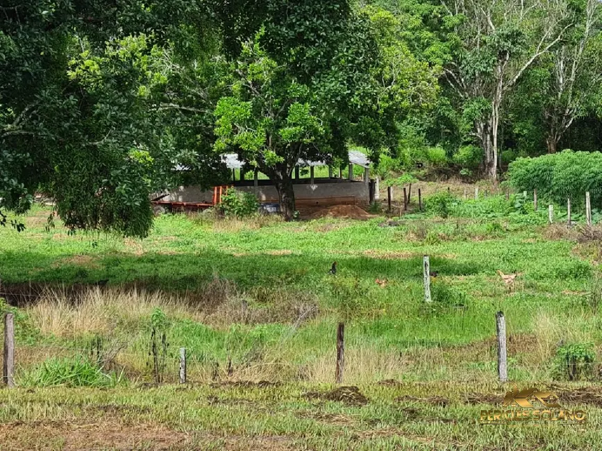 Fazenda / Haras com 7 quartos à venda, 1822m2 em Primavera Do Leste - MT - imagem 6 Foto 6 de Fazenda / Haras com 7 quartos à venda, 1822m2 em Primavera Do Leste - MT