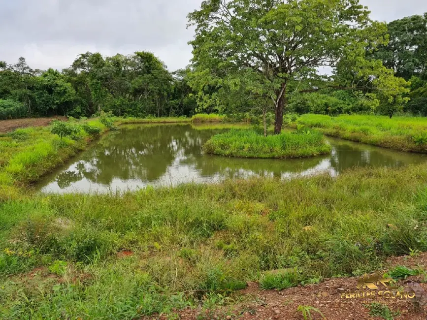 Fazenda / Haras com 7 quartos à venda, 1822m2 em Primavera Do Leste - MT - imagem 9 Foto 9 de Fazenda / Haras com 7 quartos à venda, 1822m2 em Primavera Do Leste - MT