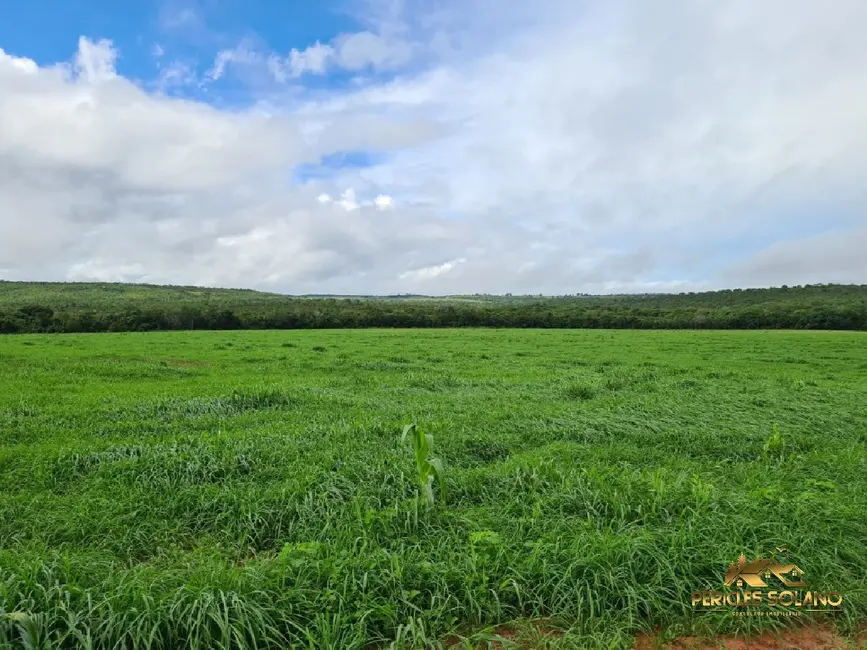 Foto 2 de Fazenda / Haras com 7 quartos à venda, 1822m2 em Primavera Do Leste - MT