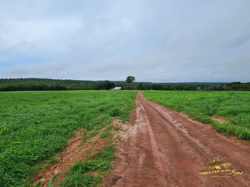 Fazenda / Haras com 7 quartos à venda, 1822m2 em Primavera Do Leste - MT - imagem 5 Foto 5 de Fazenda / Haras com 7 quartos à venda, 1822m2 em Primavera Do Leste - MT