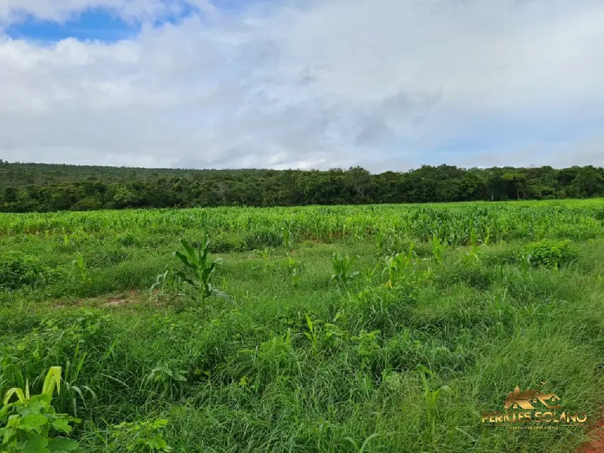 Fazenda / Haras com 7 quartos à venda, 1822m2 em Primavera Do Leste - MT - imagem 3 Foto 3 de Fazenda / Haras com 7 quartos à venda, 1822m2 em Primavera Do Leste - MT