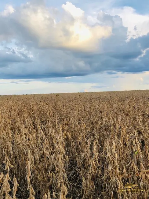 Fazenda / Haras com 3 quartos à venda, 3800m2 em Morada Nobre, Barreiras - BA - imagem 4 Foto 4 de Fazenda / Haras com 3 quartos à venda, 3800m2 em Morada Nobre, Barreiras - BA